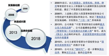 双百行动咨询服务产品手册 助力社会经济咨询服务的创新与突破