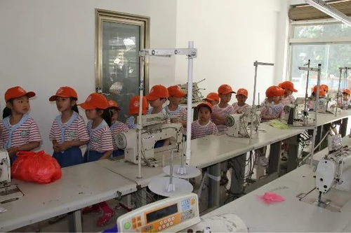 微小的脚步，大大的世界——仓上镇中心幼儿园大二班小朋友走进毛绒玩具厂开展社会实践活动回顾